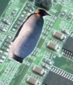 Embedded Linux Penguin image